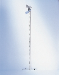 Wall-mounted Stadiometer